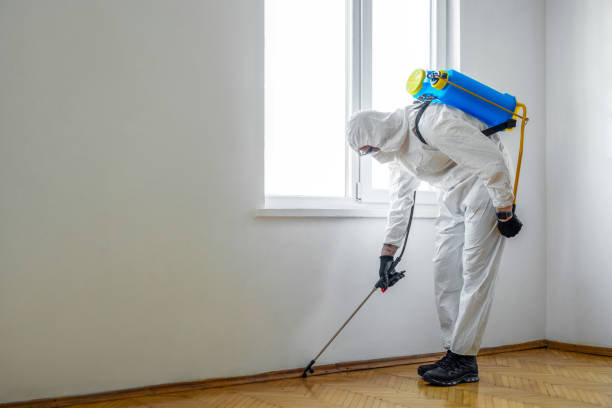 Best Cockroach Control Services  in Bentleyville, PA