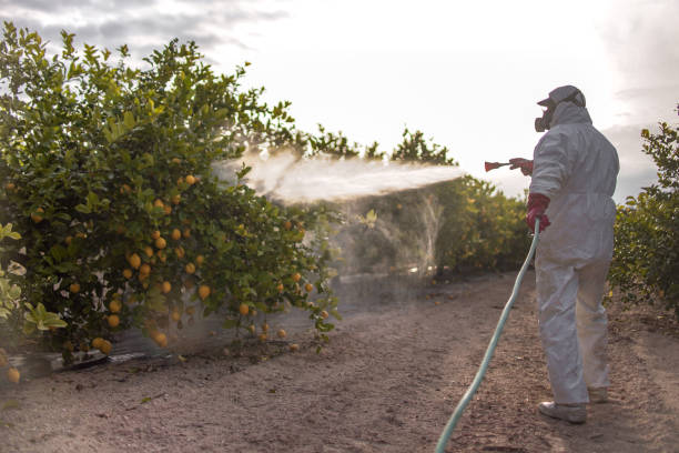 Best Local Pest Control Services  in Bentleyville, PA