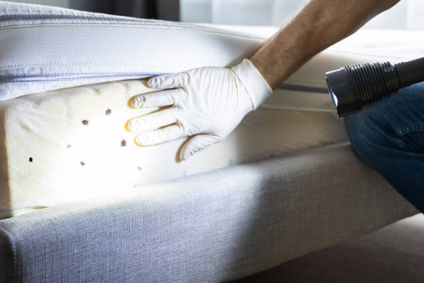 Best Exterminator Services  in Bentleyville, PA
