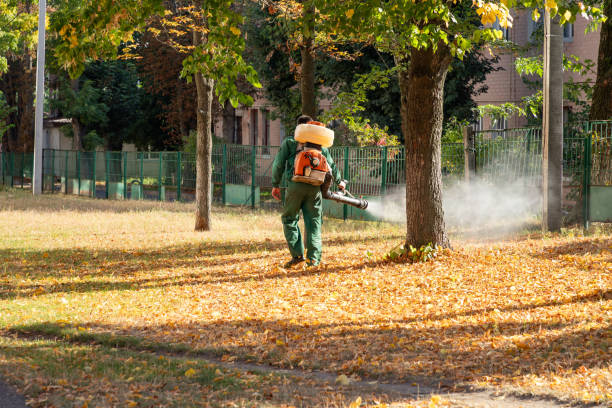 Best Insect Control  in Bentleyville, PA