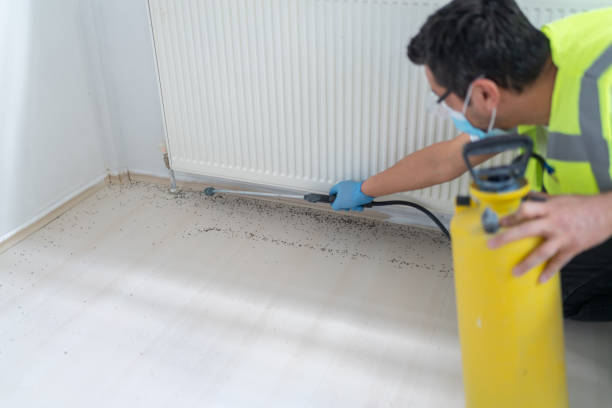 Wasp Removal Services in Bentleyville, PA
