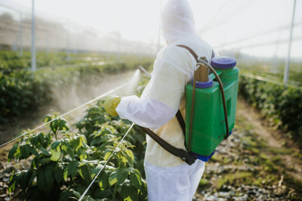 Best Affordable Pest Control Services  in Bentleyville, PA